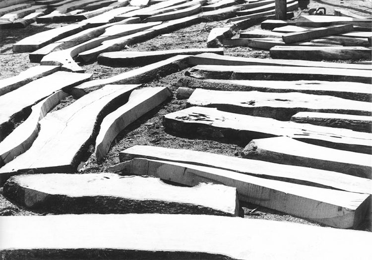 Paesaggio marino - 1958 © Renzo Tortelli